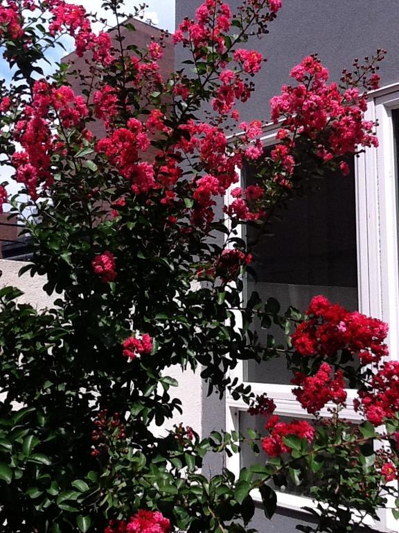 South Bridge Bed And Breakfast Philadelphia Eksteriør billede